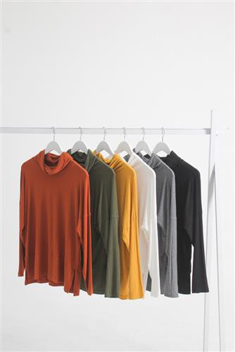 Remeron Goya